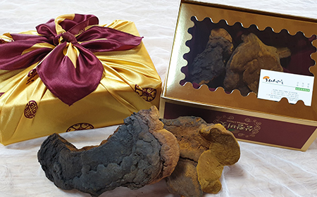 상황버섯(건조) 200g