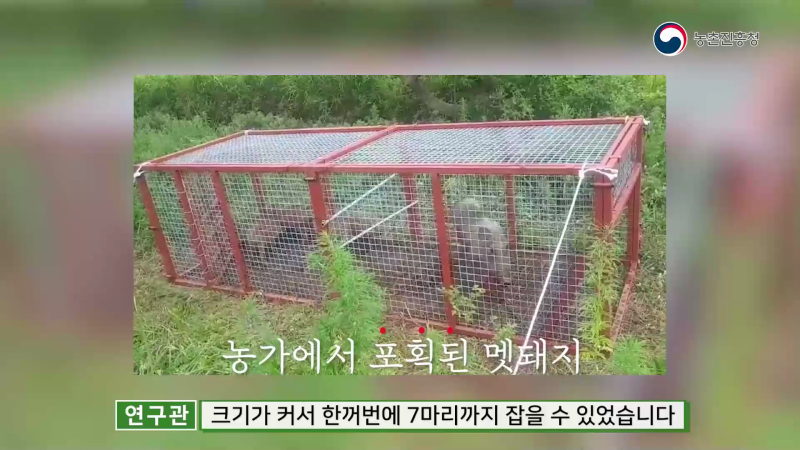 멧돼지 포획트랩