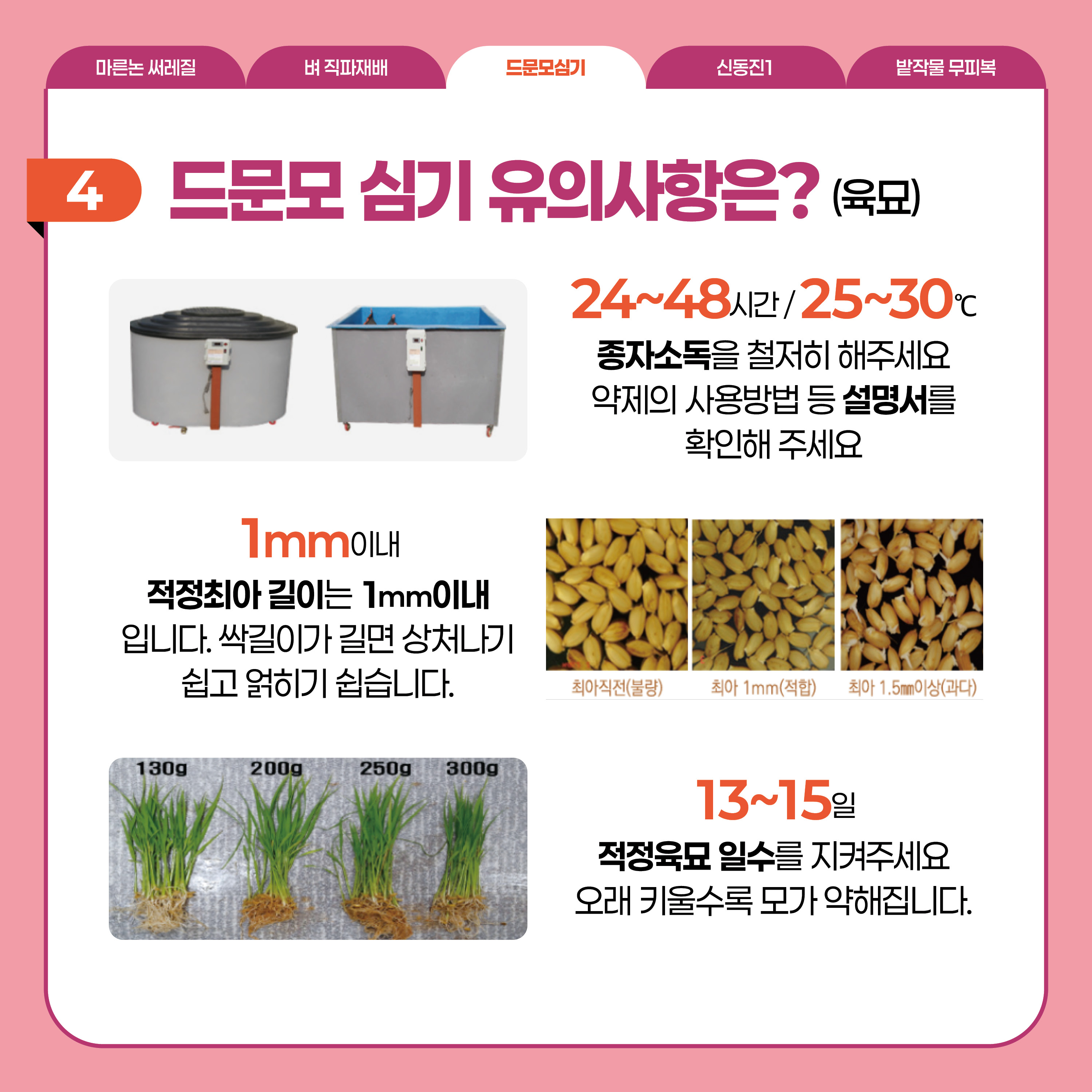 드문모심기  4 드문모 심기 유의사항은?(육묘)  24~48시간/25~30℃ 종자소독을 철저히 해주세요 약제의 사용방법 등 설명서를 확인해 주세요 1mm이내 적정최아 길이는 1mm이내 입니다. 싹길이가 길면 상처나기 쉽고 얽히기 쉽습니다. 13~15일 적정육묘 일수를 지켜주세요. 오래 키울수록 모가 약해집니다.