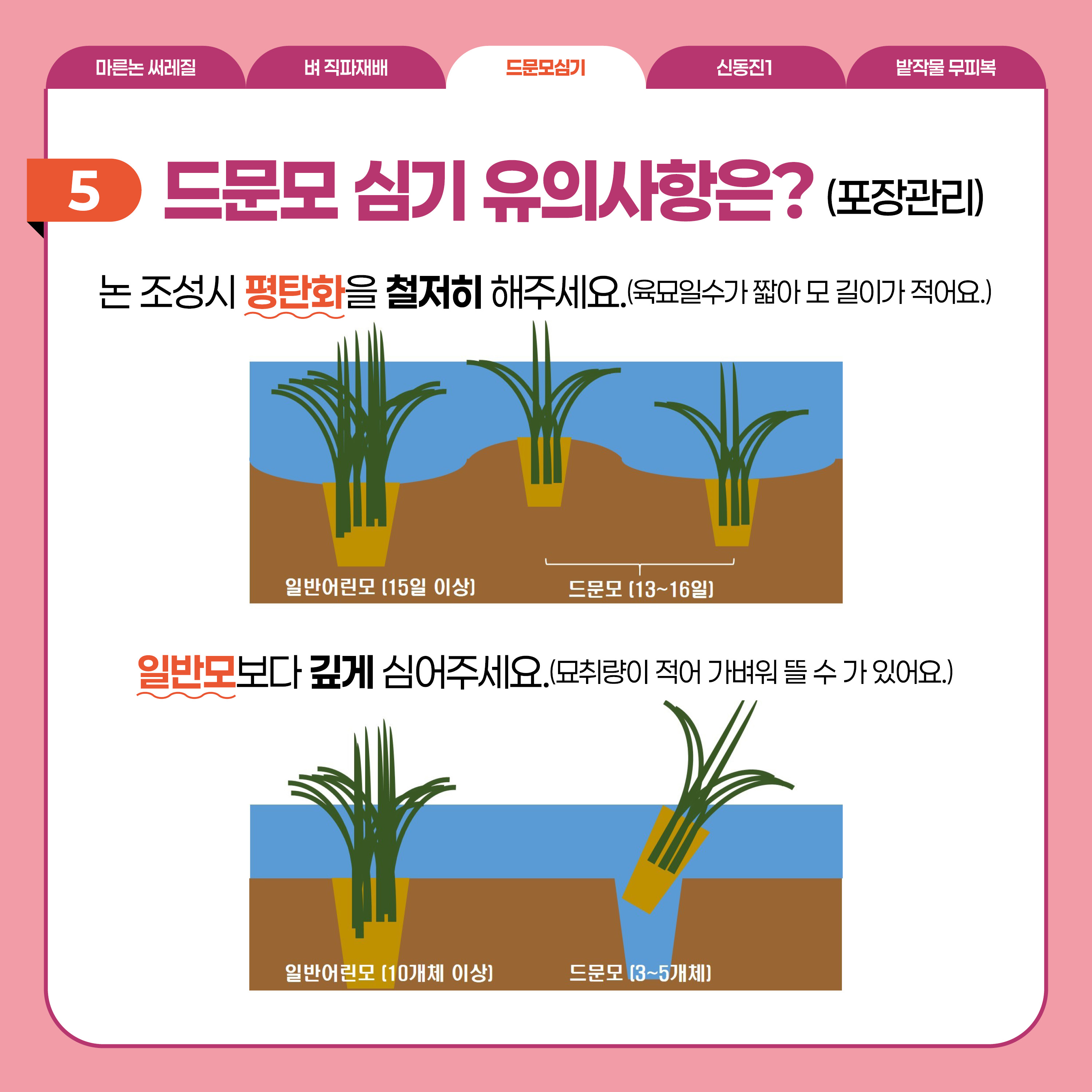 드문모심기  5 드문모 심기 유의사항은?(포장관리) 논 조성시 평탄화를 철저히 해주세요.(육묘일수가 짧아 모 길이가 적어요.)  일반모보다 깊게 심어주세요.(묘취량이 적어 가벼워 뜰 수가 있어요.)