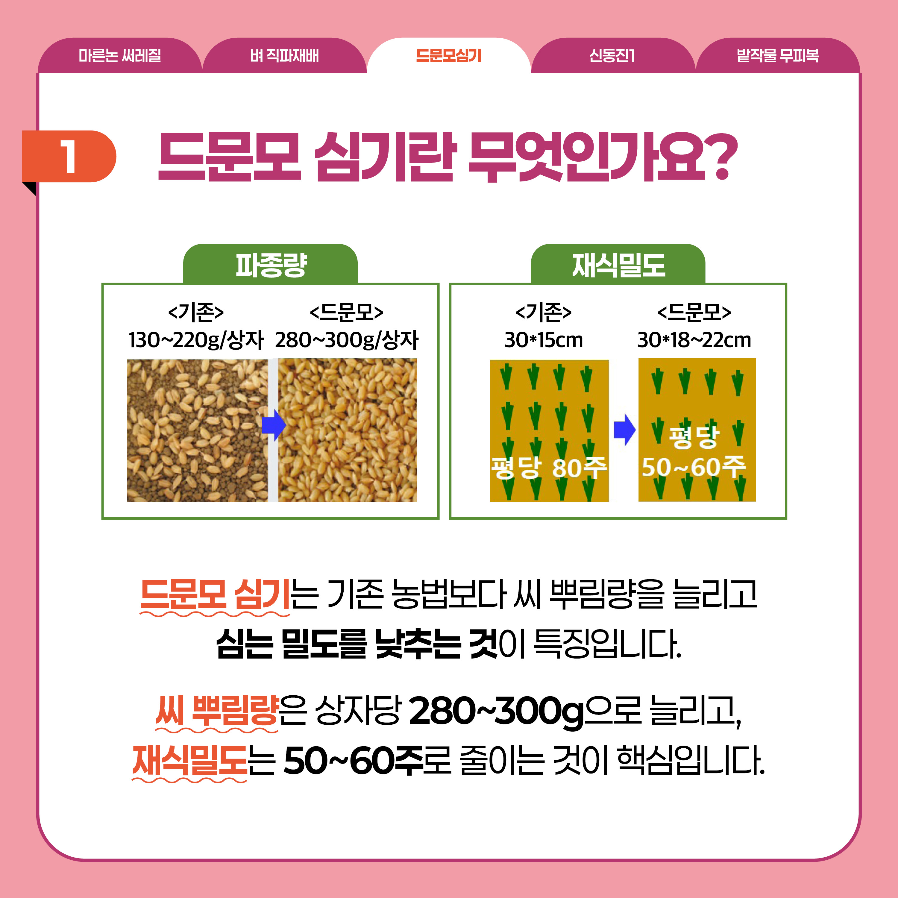 드문모심기  1 드문모 심기란 무엇인가요? 파종량  <기존> 130~220g/상자 <드문모> 280~300g/상자  재식밀도 <기존> 30*15cm  <드문모> 30*18~22cm  드문모 심기는 기존 농업보다 씨 뿌림량을 늘리고 심는 밀도를 낮추는 것이 특징입니다.  씨 뿌림량은 상자당 280~300g으로 늘리고, 재식밀도는 50~60주로 줄이는 것이 핵심입니다.