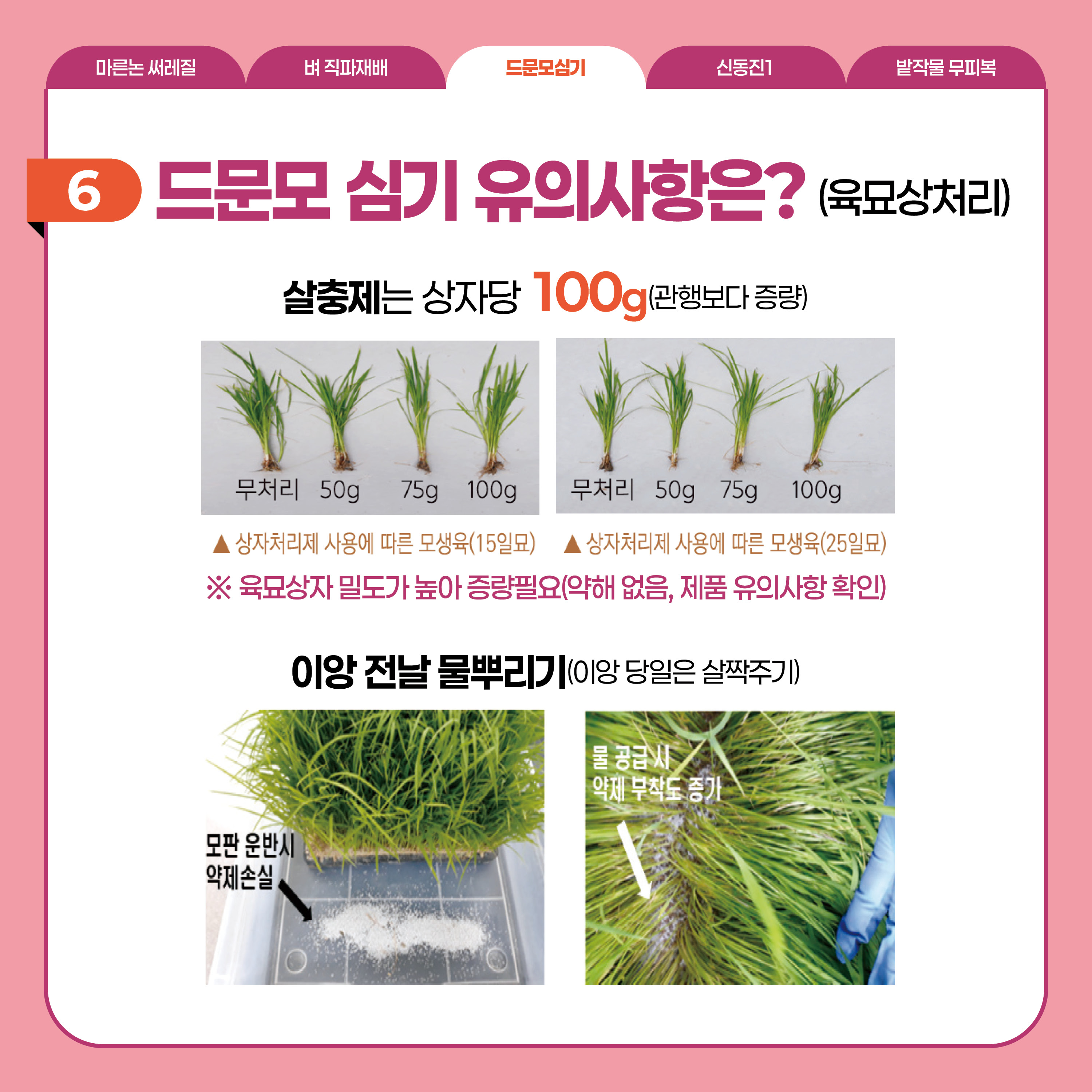 드문모심기  6 드문모 심기 유의사항은?(육묘상처리)  살충제는 상자당 100g(관행보다 증량)  ▲ 상자처리제 사용에 따른 모생육(15일묘)  ▲ 상자처리제 사용에 따른 모생육(25일묘)  ※ 육묘상자 밀도가 높아 증량필요(약해 없음, 제품 유의사항 확인)  이앙 전날 물뿌리기(이앙 당일은 살짝주기)   모판 운반시 약제손실  물 공급 시 약제 부착도 증가