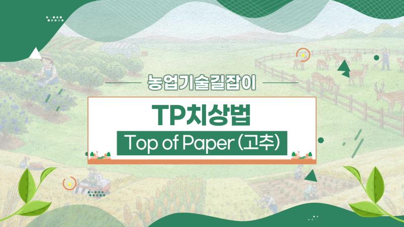 농업기술길잡이 - TP치상법 Top of Paper(고추)