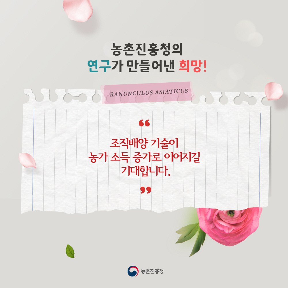 농촌진흥청의 연구가 만들어낸 희망! '조직배양 기술이 농가 소득 증가로 이어지길 기대합니다.'