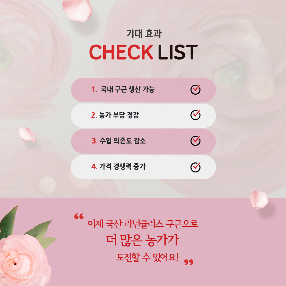 기대효과  -CHECK LIST *국내 구근 생산가능 *농가부담 경감 *수입 의존도 감소 *가격 경쟁력 증가 '이제 국산 라넌큘러스 구근으로 더 많은 농가가 도전할 수 있어요!'