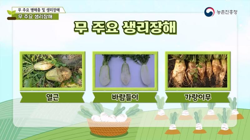 3. 생리장해 썸네일 이미지