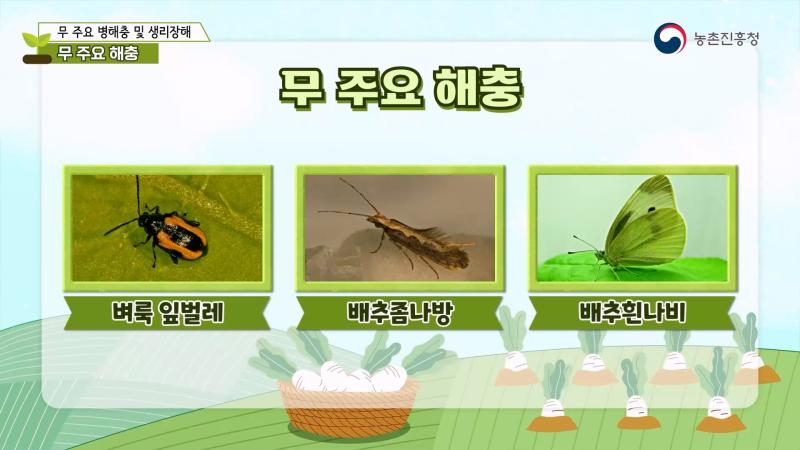 2. 해충 썸네일 이미지