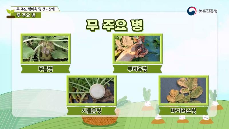 1. 주요 병 썸네일 이미지