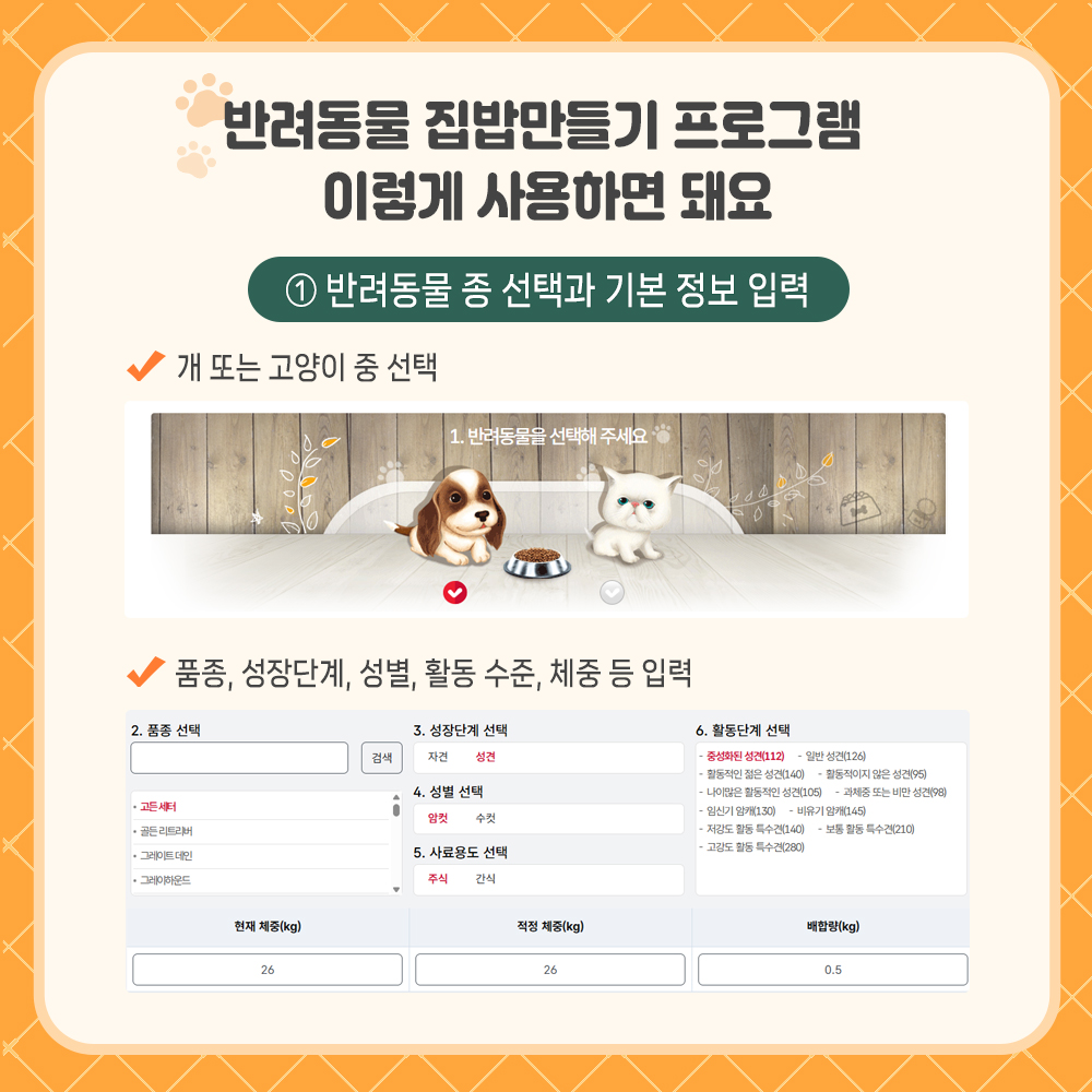반려동물 집밥만들기 프로그램 이렇게 사용하면 되요 ① 반려동물 중 종 선택과 기본정보 입력  - 개 또는 고양이중 선택 → 품종, 성장단계, 성별, 활동 수준, 체중 등 입력