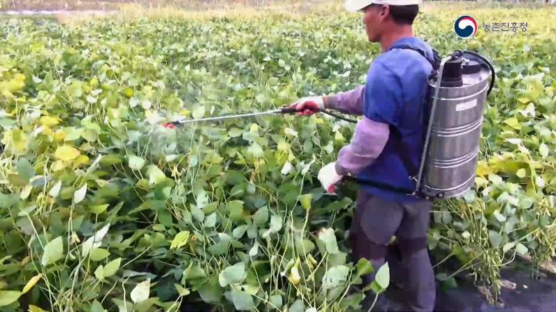 1. 콩 기계화 표준 재배 양식 설정