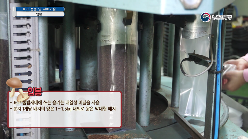 4. 입봉 썸네일 이미지