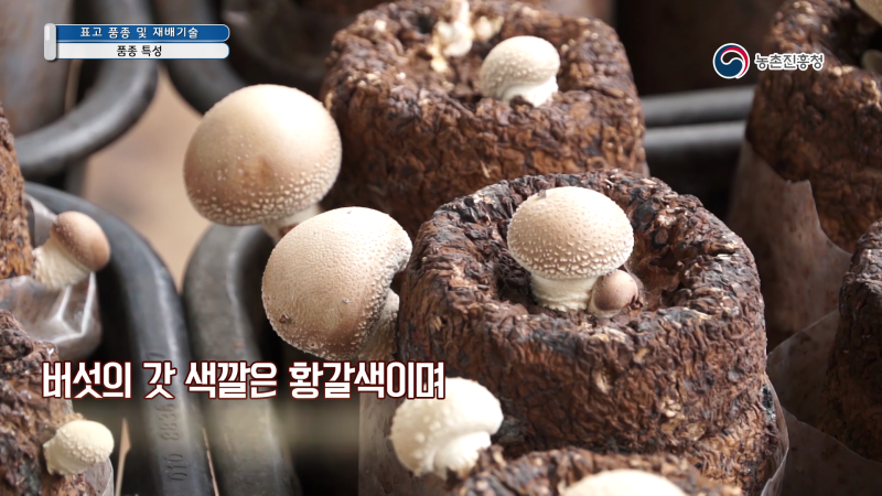 1. 품종특성 썸네일 이미지