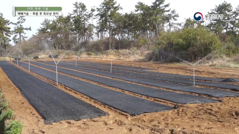 3. 재배기술_파종 후 육묘상 관리_플러그(상자) 육묘