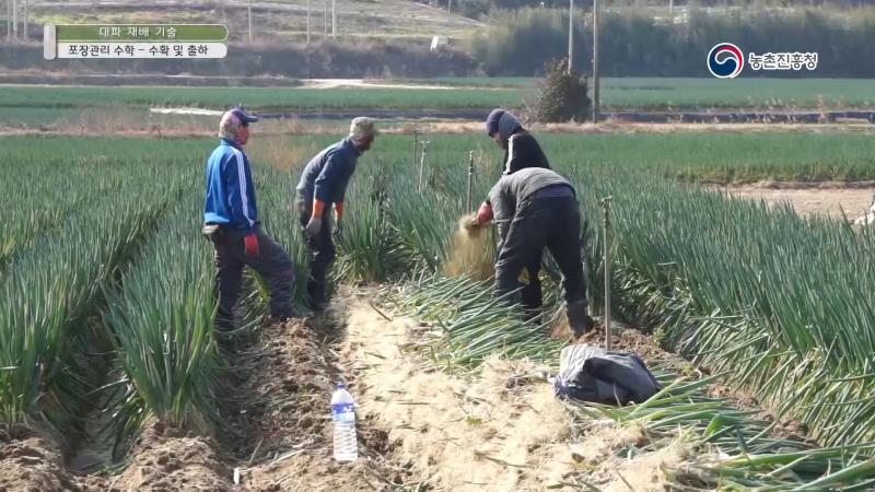 7. 포장관리 및 수확_수확 및 출하 