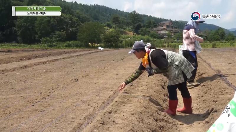 2. 재배기술_이랑만들기_파종