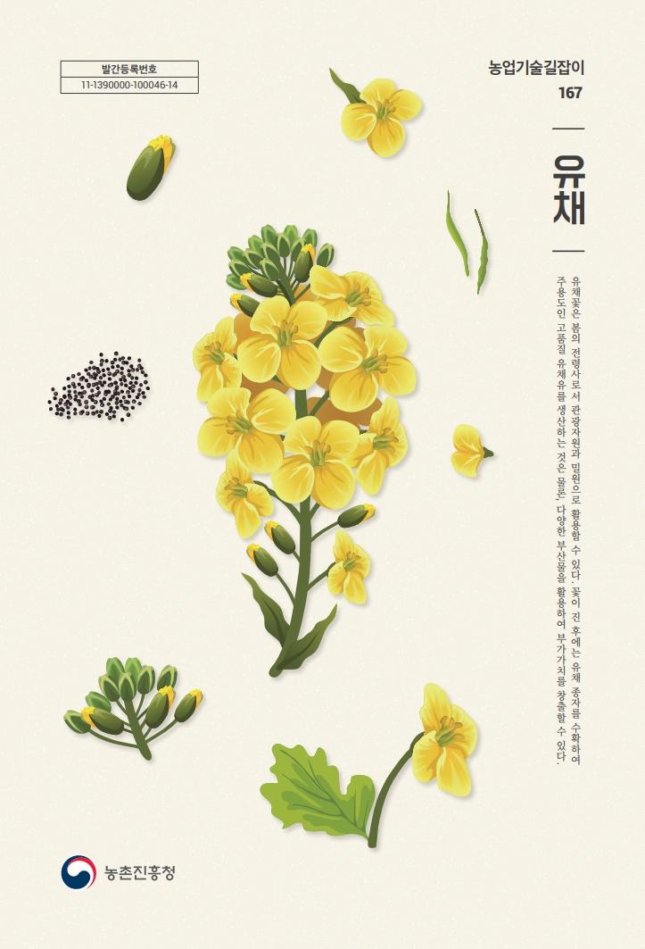 농업기술길잡이167_(5권) 유채