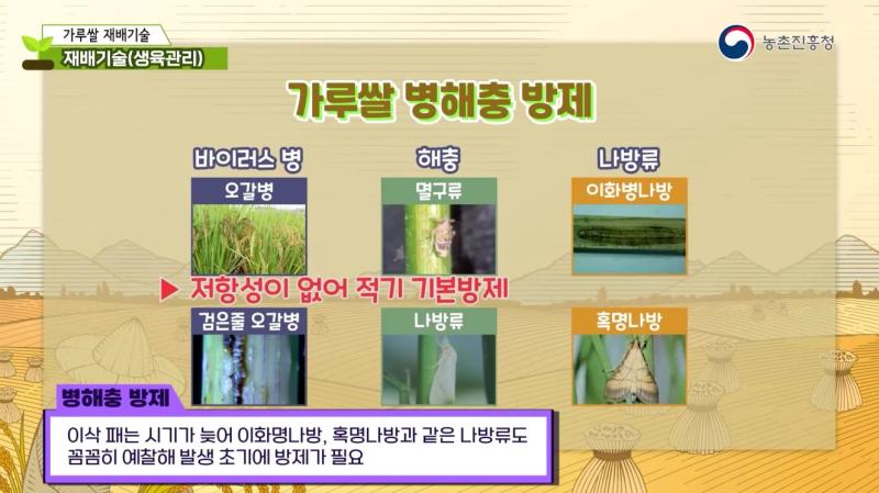 재배 기술
