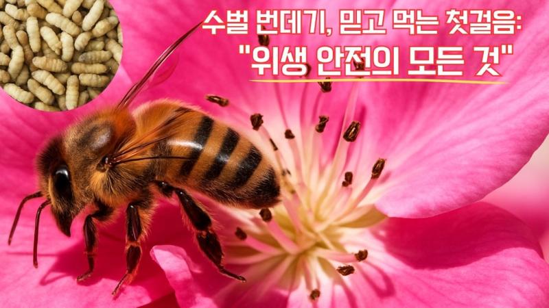 수벌번데기, 믿고 먹는 첫걸음“위생 안전의 모든 것” 썸네일 이미지