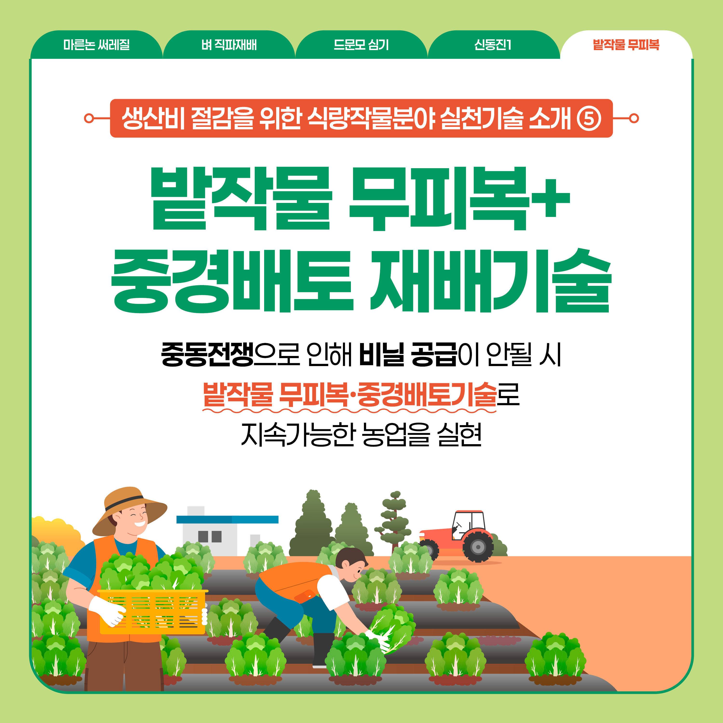 밭작물 무피복  생산비 절감을 위한 식량작물분야 실천기술 소개 ⑤ 밭작물 무피복+중경배토 재배기술  중동전쟁으로 인해 비닐 공급이 안될 시 밭작물 무피복·중경배토기술로 지속가능한 농업을 실현