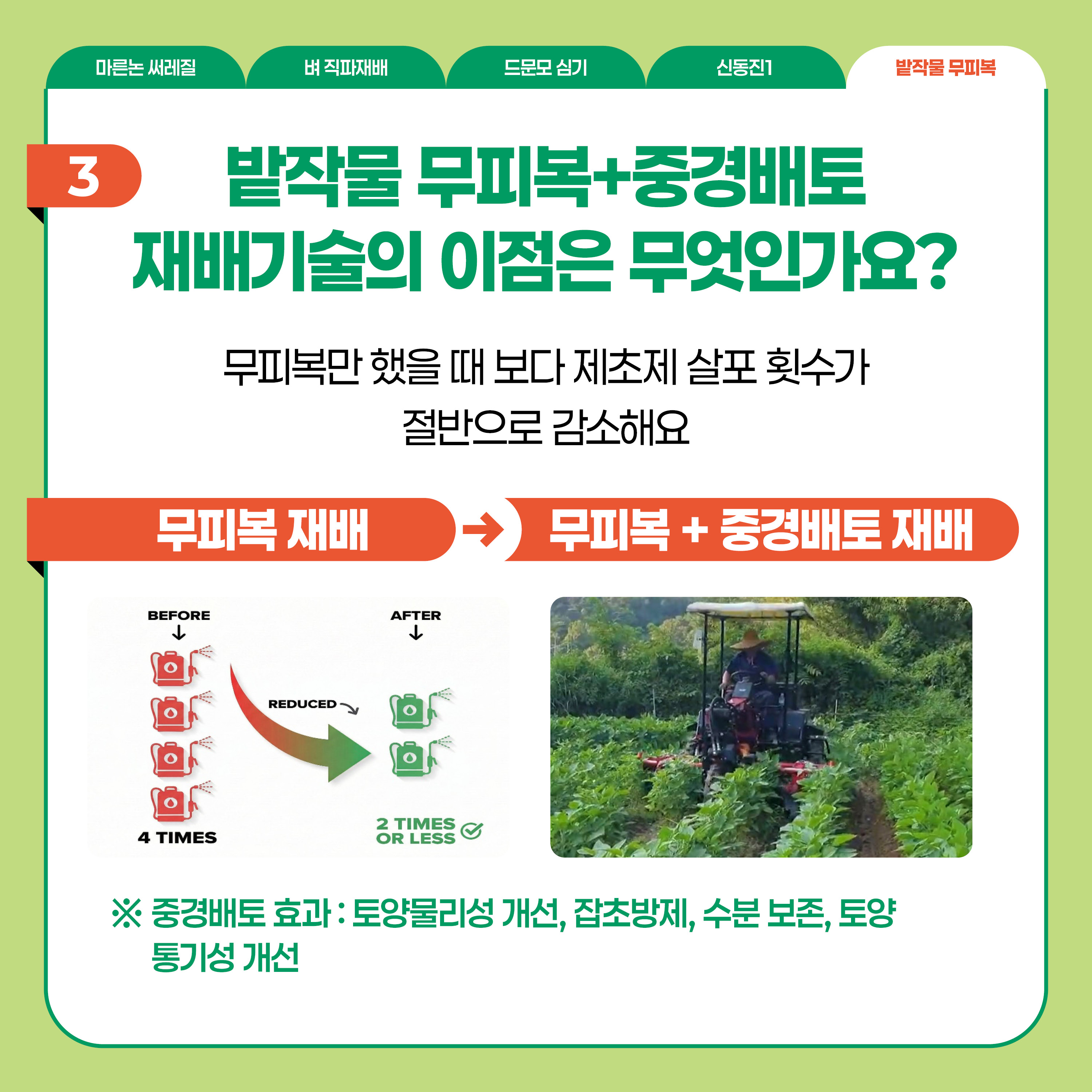 밭작물 무피복  3 밭작물 무피복+중경배토 재배기술의 이점은 무엇인가요?  무피복만 했을 때 보다 제초제 살포 횟수가 절반으로 감소해요  ※ 중경배토 ㅎ과:토양물리성 개선, 잡초방제, 수분 보존, 토양 통기성 개선