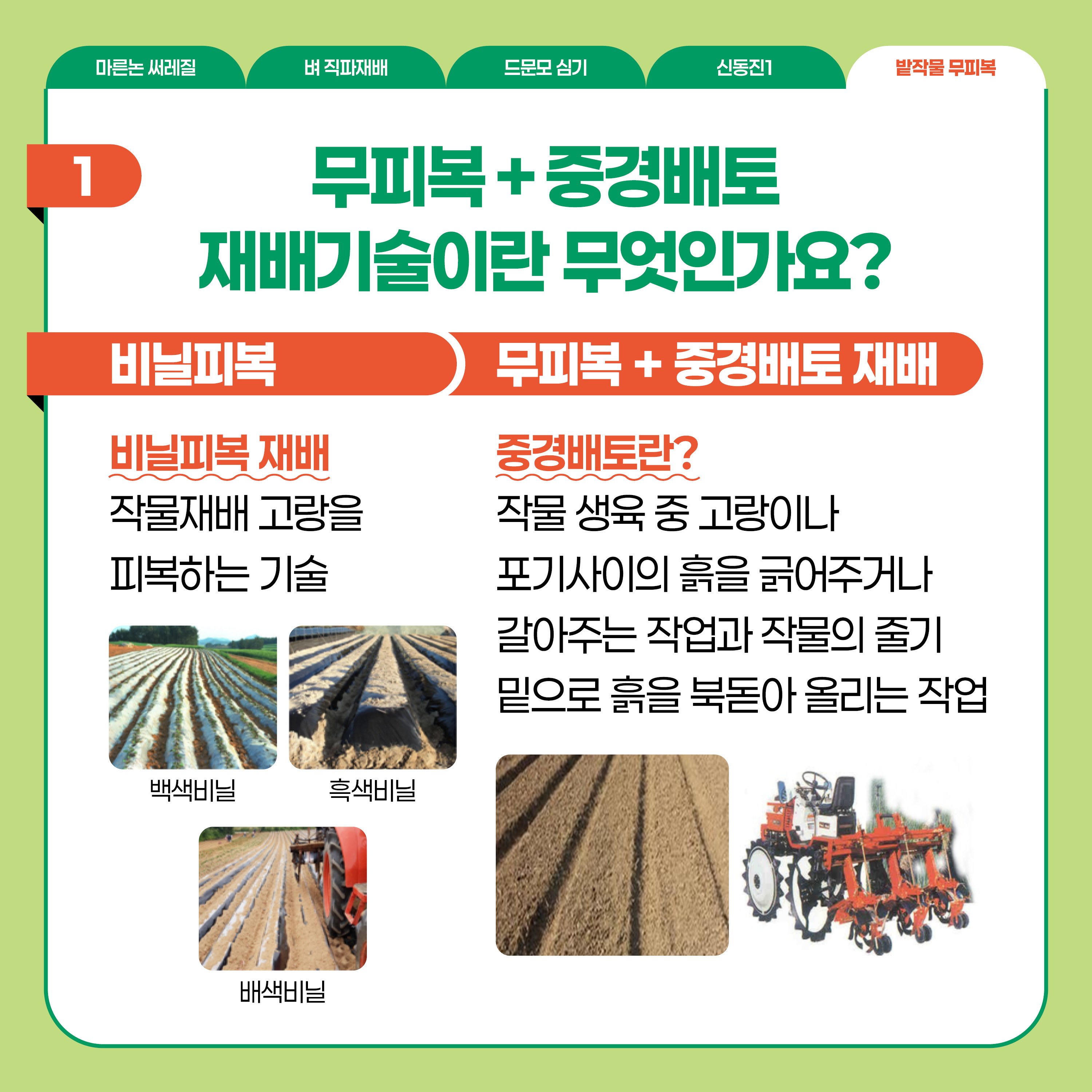 밭작물 무피복  1 무피복+중경배토 재배기술이란 무엇인가요? 비닐피복  비닐피복 재배  작물재배 고랑을 피복하는 기술  백색비닐  흑식비늘 배색비늘  무피복+중경배토 재배  중경배토란? 작물 생육 중 고랑이나 포기사이의 흙을 긁어주거나 갈아주는 작업과 작물의 줄기 밑으로 흙을 북돋아 올리는 작업