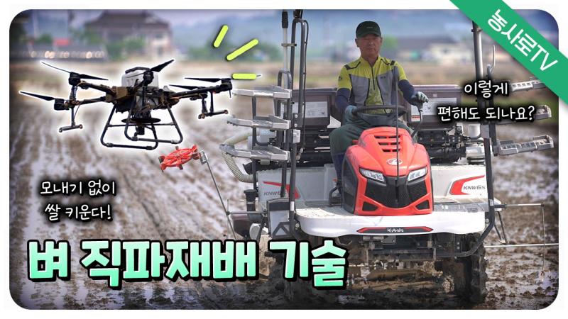 벼 직파 재배기술