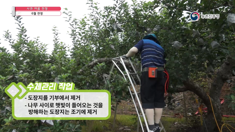 4. 6월 전정 썸네일 이미지