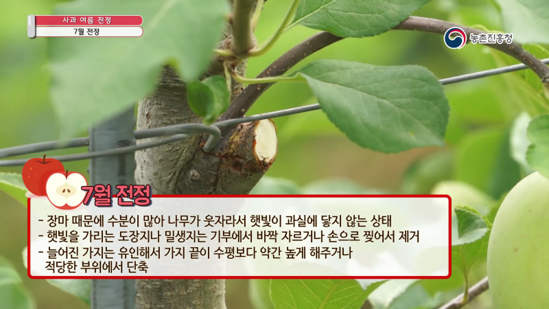 5. 7월 전정 썸네일 이미지