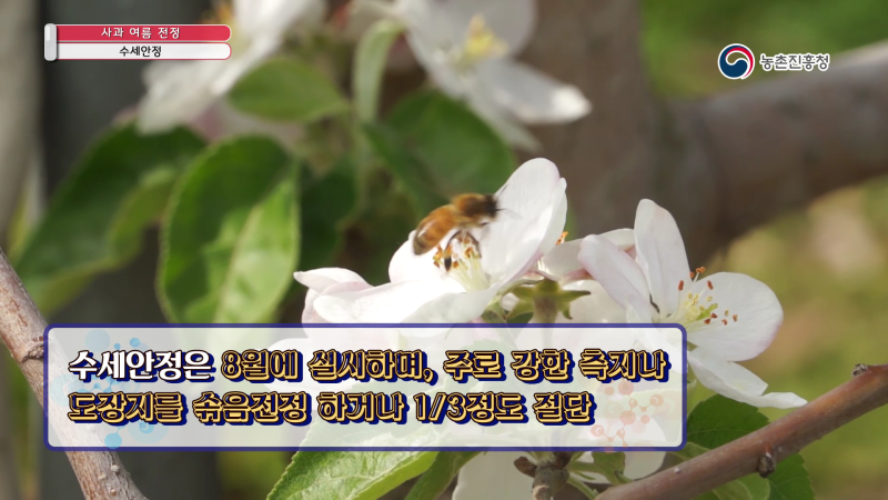 1. 수세안정 썸네일 이미지