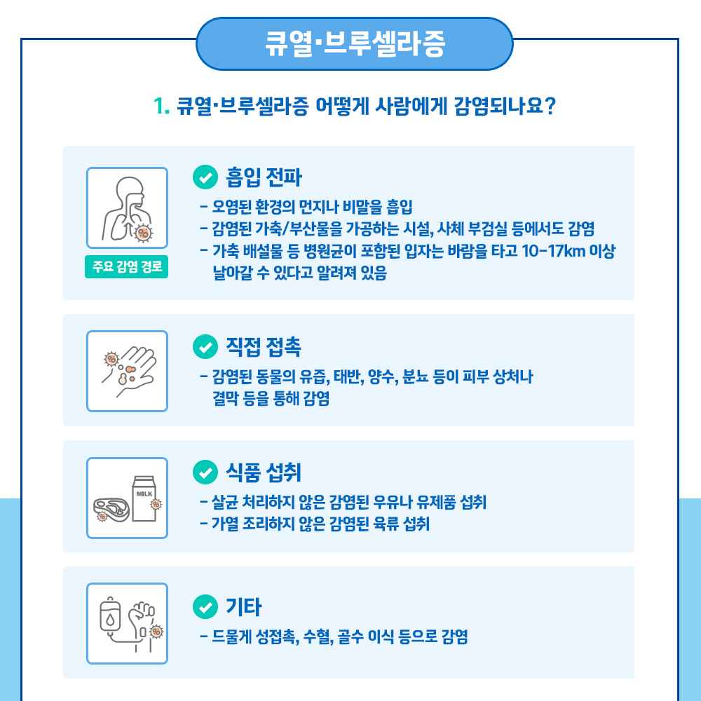 큐열.브루셀라증 1. 큐열.브루셀라증 어떻게 사람에게 감염되나요? *흡입전파 - 오염된 환경의 먼지나 비말을 흡입  - 감염된 가축/부산물을 가공하는 시설, 사체 부검실 등에서도 감염  - 가축 배설물 등 병원균이 포함된 입자는 바람을 타고 10~17km 이상 날아갈 수 있다고 알려져 있음 * 직접 접촉 - 감염된 동물의 유즙, 태반, 양수, 분뇨 등이 피부 상처나 결막등을 통해 감염 * 식품 섭취 - 살균 처리하지 않은 감염된 우유나 유제품 섭취  - 가열 조리하지 않은 감염된 육류 섭취 * 기타 - 드물게 성접촉, 수혈, 골수 이식 등으로 감염