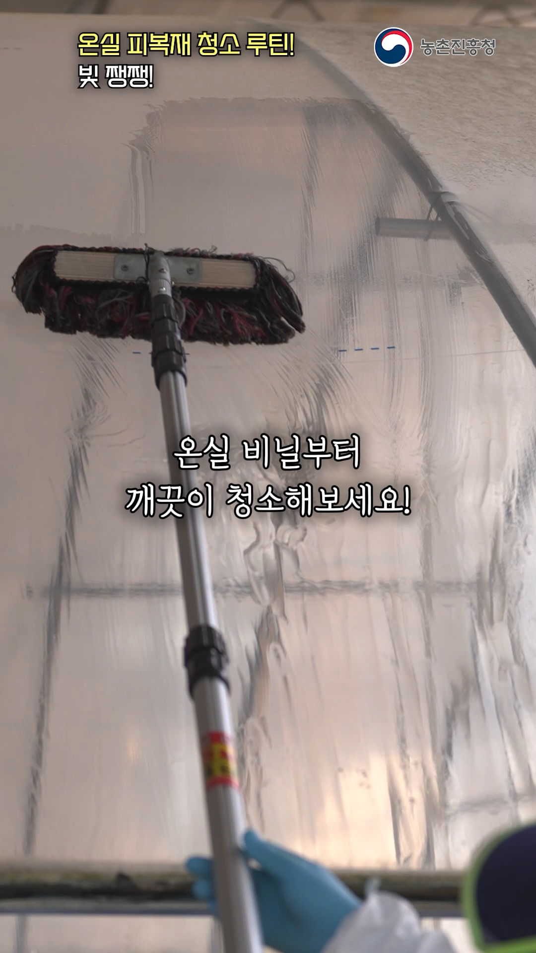 시설재배 일조량 감소에 따른 대응 기술 쇼츠 B