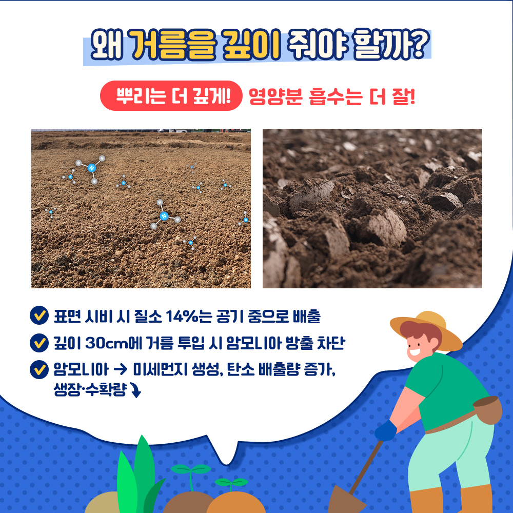 왜 거름을 깊이 줘야 할까? 뿌리는 더 깊게! 영양분 흡수는 더 잘! * 표면 시비 시 질소 14%는 공기 중으로 배출 * 깊이 30cm에 거름 투입 시 암모니아 방출 차단 * 암모니아 →  미세먼지 생성, 탄소 배출량 증가, 생장.수확량↓
