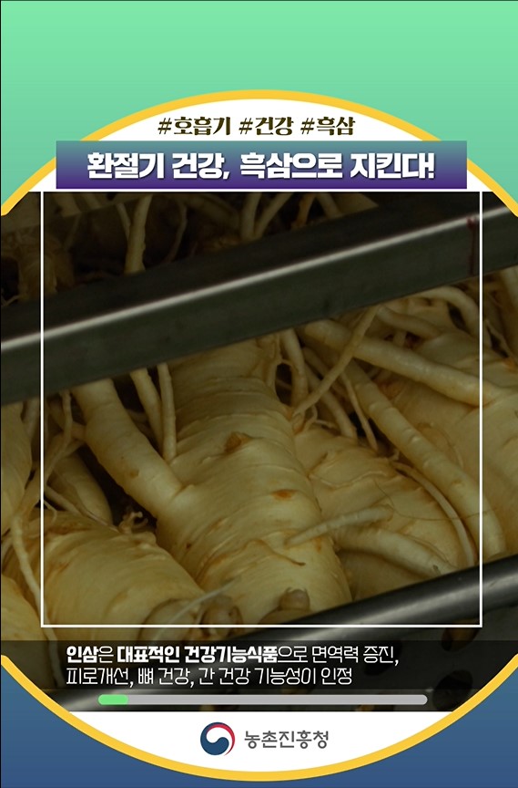 환절기 건강 흑삼