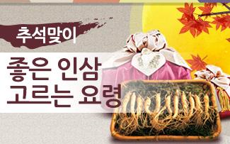추석맞이 좋은 인삼 고르는 요령