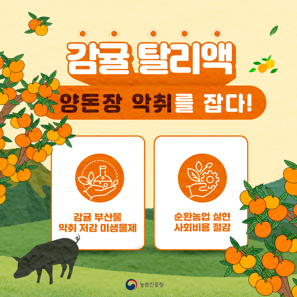 감귤 탈리액 양돈장 악취를 잡다! - 감귤 부산물 악취 저감 미생물제, - 순환농업 실현 사회비용 절감