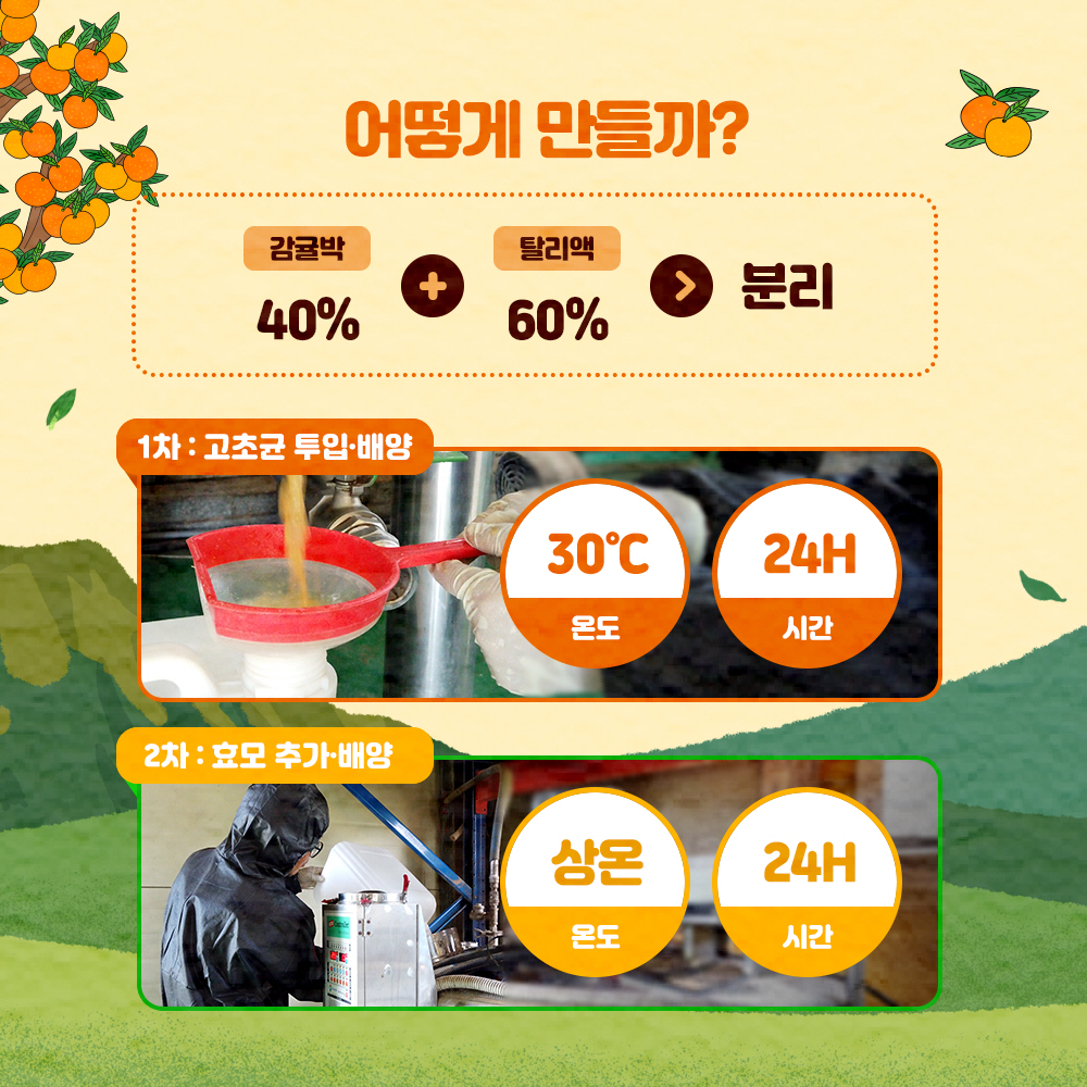 어떻게 만들까: 감귤박40%+탈리액 60%>분리 - 1차 : 고초균 투입 배양 : 온도 30℃ 시간 24H - 2ck : 효모 추가 배양 : 온도 상온, 시간 24H