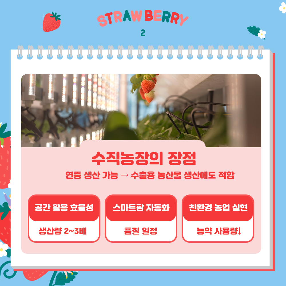 수직농장의 장점 연중 생산 가능 → 수출용 농산물 생산에도 적합  공간 활용 효율성 : 생산량 2~3배 스마트팜 자동화 : 품질 일정,   친환경 농업 실현 : 농약 사용량↓