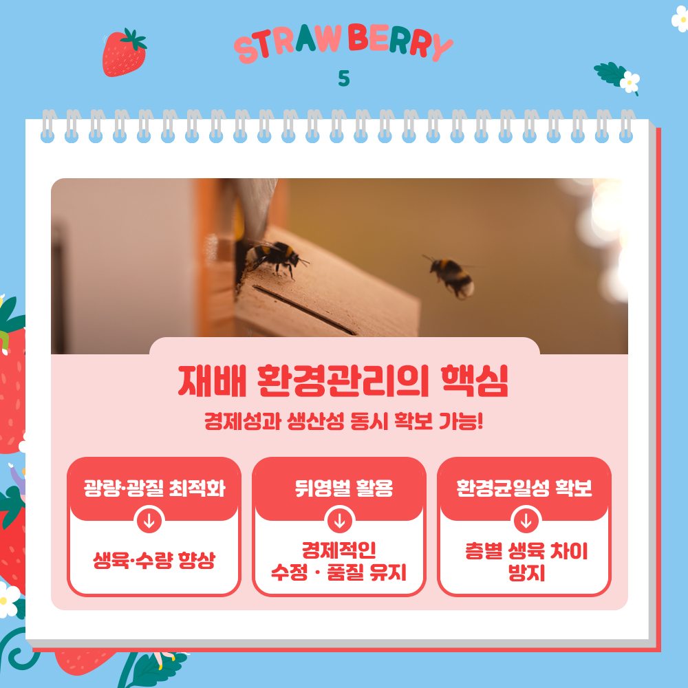 재배 환경관리의 핵심 경제성과 생산성 동시 확보 가능! 광량·광질 최적화 : 생육·수량 향상 뒤영벌 활용 : 경제적인수정ㆍ품질 유지 환경균일성 확보 : 층별 생육 차이 방지