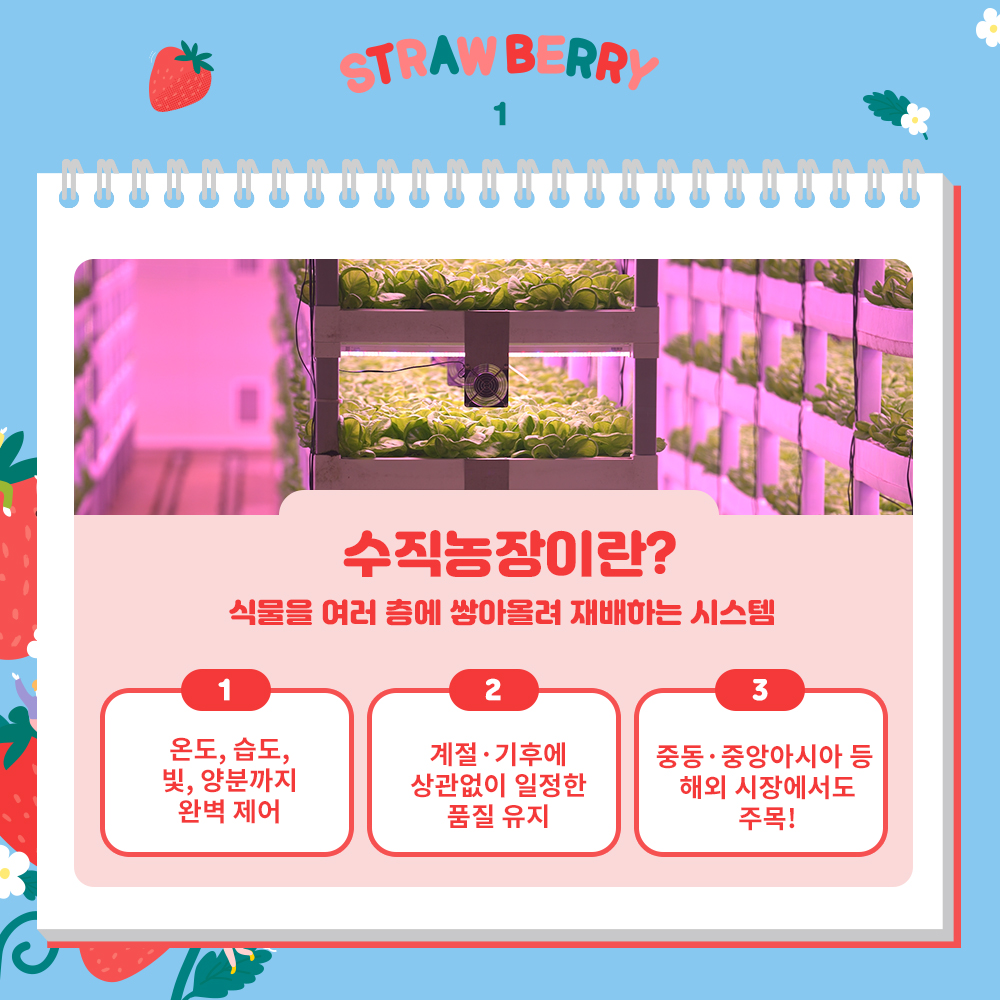 수직농장이란? 식물을 여러 층에 쌓아올려 재배하는 시스템 1. 온도, 습도, 빛, 양분까지 완벽제어, 2. 계절. 기후에 상관없이 일정한 품질유지, 3. 중동. 중앙아시아 등 해외 시장에서도 주목!