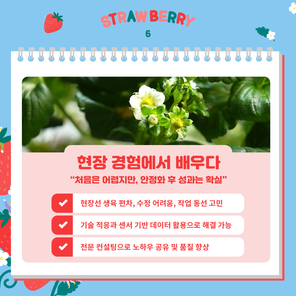 현장 경험에서 배우다 '처음은 어렵지만, 안정화 후 성과는 확실' 현장선 생육 편차, 수정 어려움, 작업 동선 고민 기술 적응과 센서 기반 데이터 활용으로 해결 가능 전문 컨설팅으로 노하우 공유 및 품질 향상