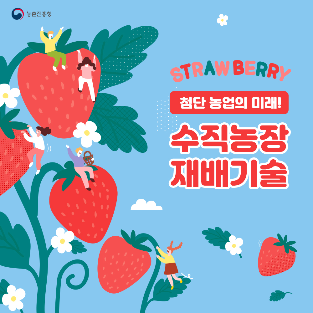 첨단 농업의 미래! 딸기 수직농장 재배기술