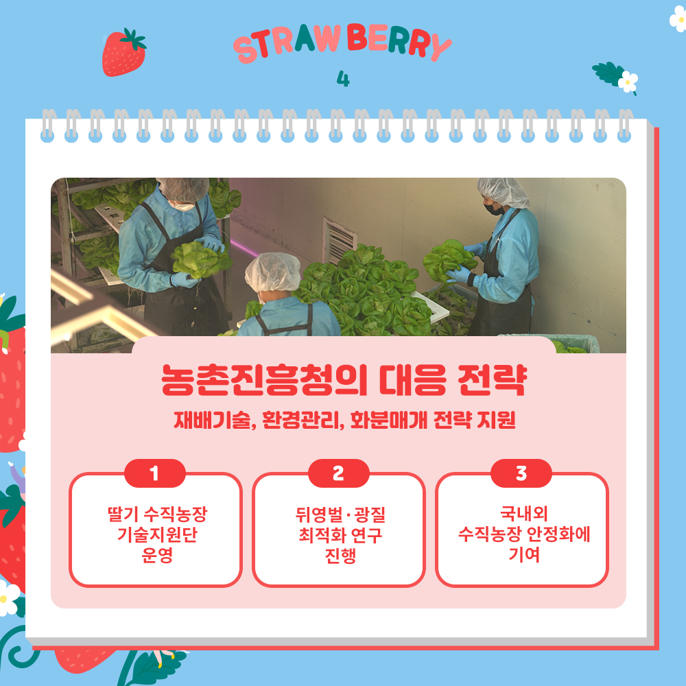 농촌진흥청의 대응 전략 재배기술, 환경관리, 화분매개 전략 지원 1. 딸기 수직농장 기술지원단 운영 2. 뒤영벌·광질 최적화 연구 진행 3. 국내외 수직농장 안정화에 기여