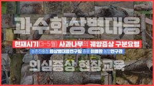 [과수화상병] 사과나무 궤양 의심증상 현장교육 영상교재_필수_
