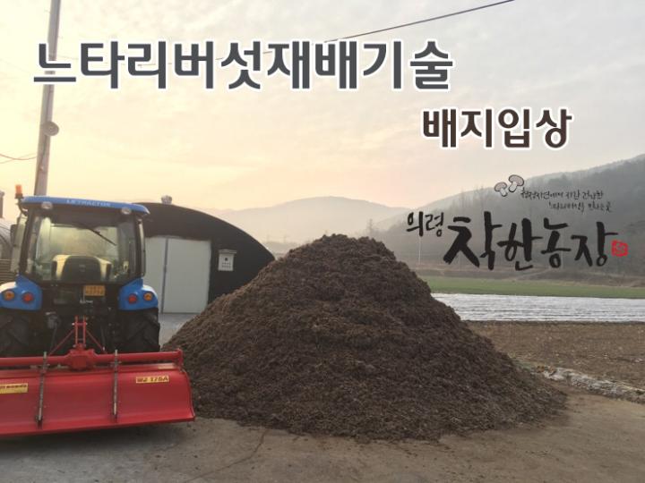 느타리버섯 재배 방법 3탄 배지입상