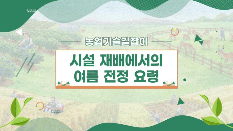 농업기술길잡이 - 시설 재배에서의 여름 전정 요령
