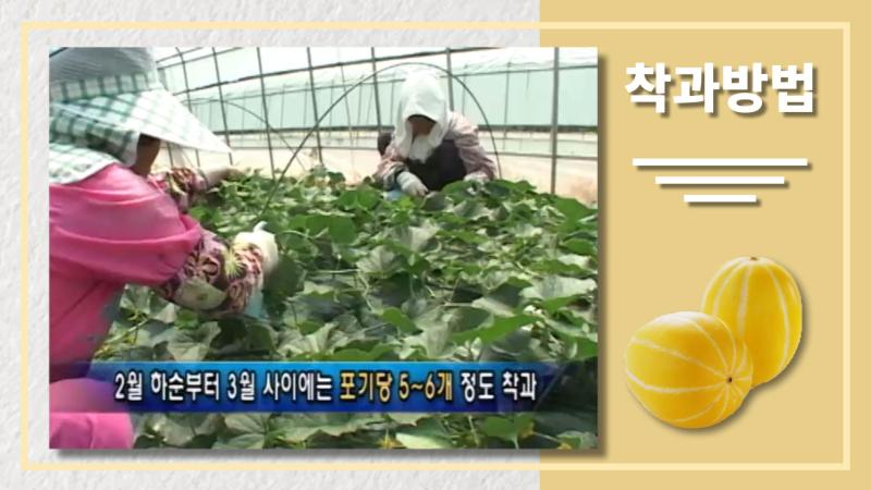 착과방법 썸네일 이미지