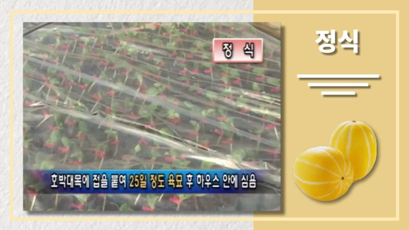 정식 썸네일 이미지
