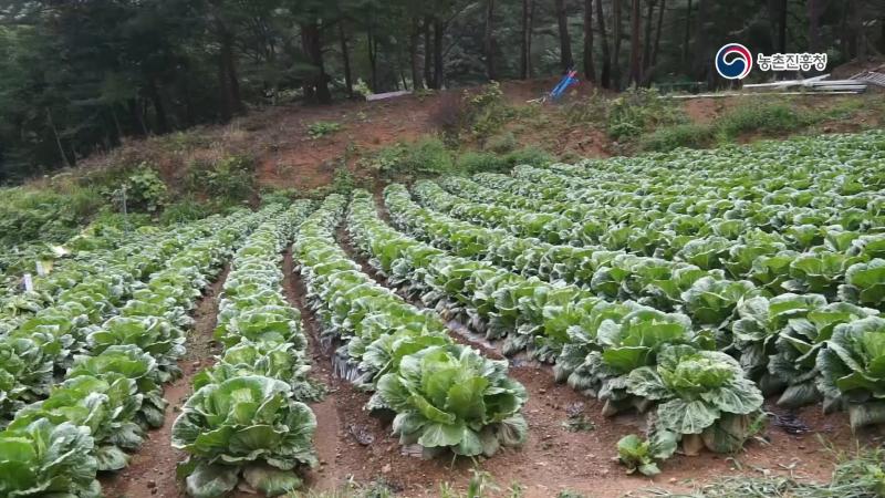 1. 파종