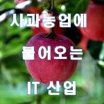 '삽 대신 스마트폰'으로 농사에 퍼즐을 맞춰가다-정선임계 백령 사과농원