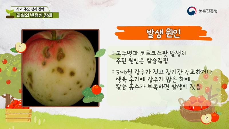 과실의 반점성 장해